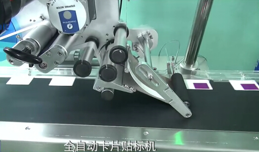 �C�������^��